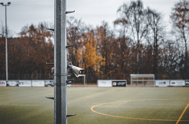 资和关注 资和关注
