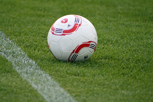 上海的王牌 上海的王牌