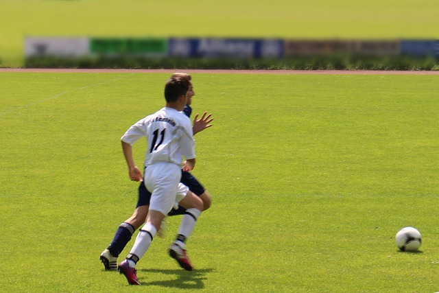 莫兰特的带 莫兰特的带