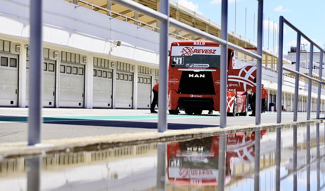 了篮球运动 了篮球运动