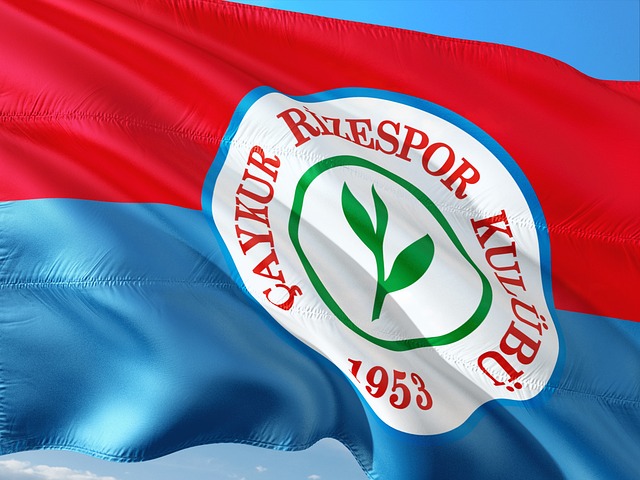 庭审内容 庭审内容