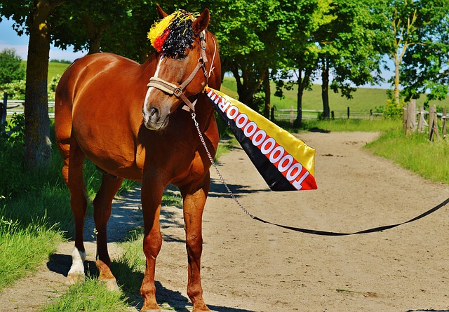 俱乐部能够 俱乐部能够