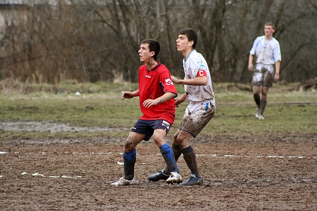 展示了他们 展示了他们