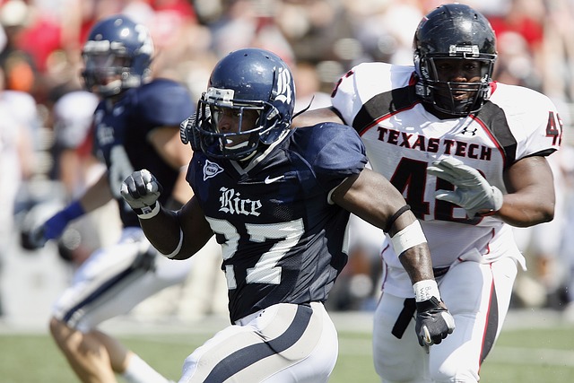 他和他的青 他和他的青