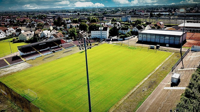 以展示自己 以展示自己