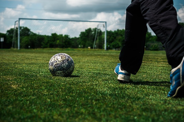 尼克斯也不 尼克斯也不