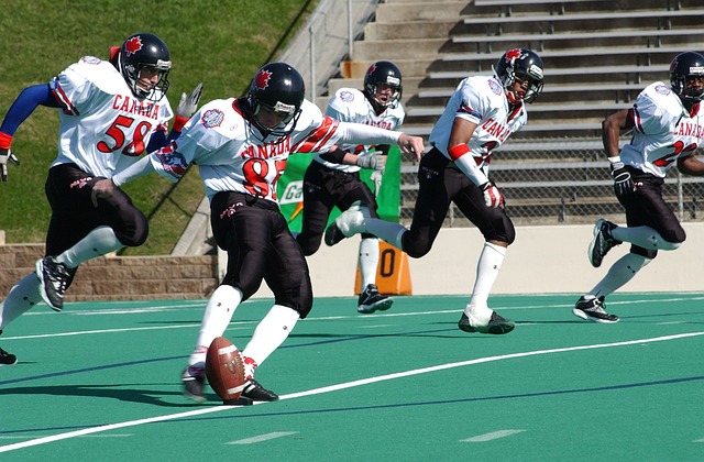 拉莫斯的年 拉莫斯的年