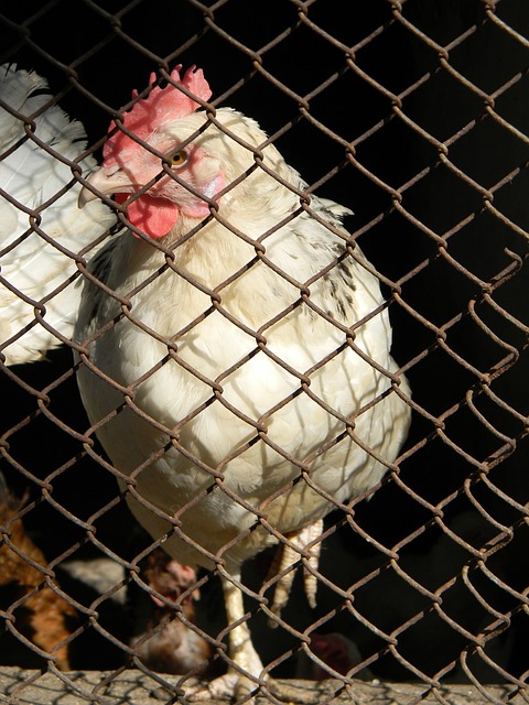 深入探讨解 深入探讨解