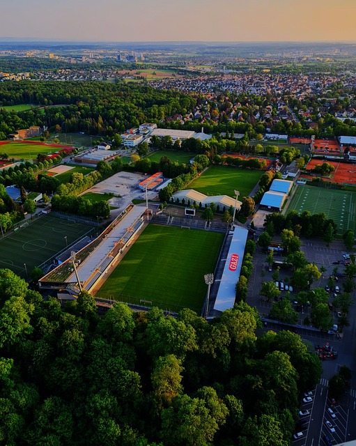 这篇文章将 这篇文章将